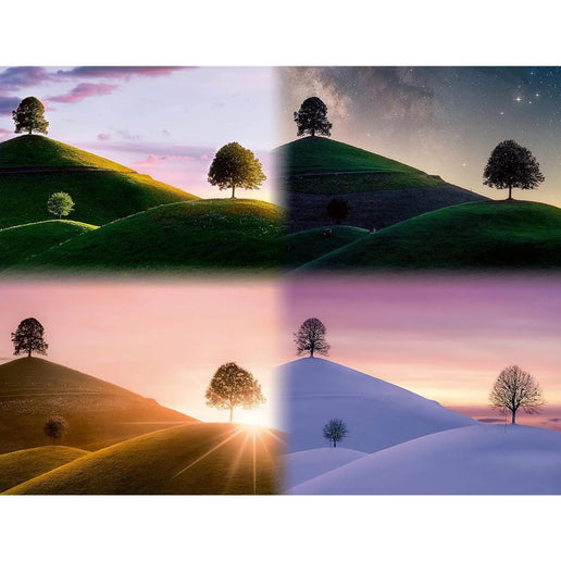 Puzzle Ravensburger: Le stagioni 2000 pezzi