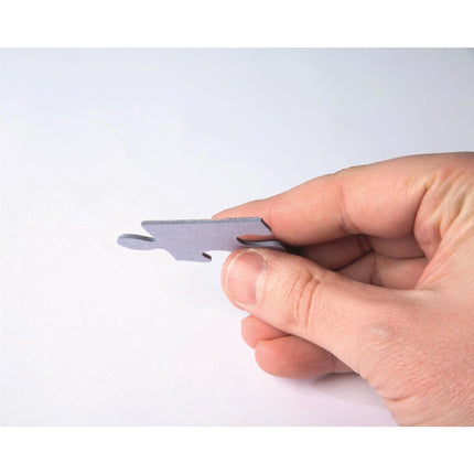 I miei primi puzzle da 2, 3, 4 e 5 pezzi Dinosauri